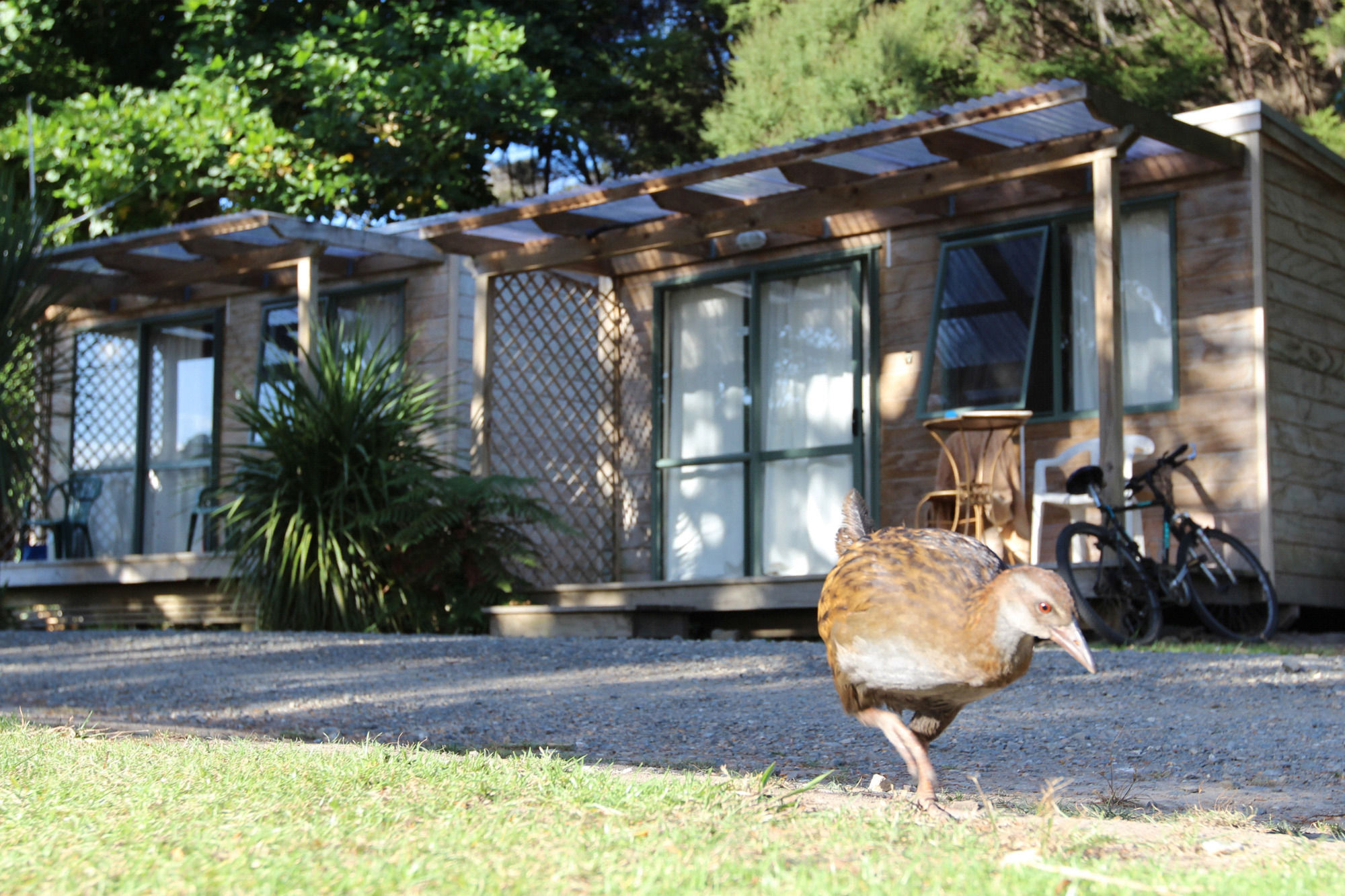 Russell-Orongo Bay Holiday Park Esterno foto